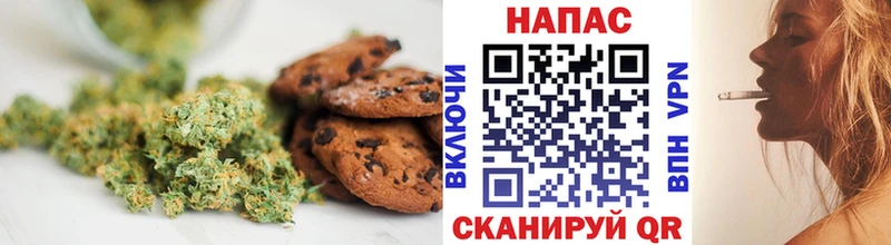 OMG сайт  Чекалин  Печенье с ТГК конопля 