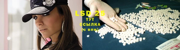 дживик Вяземский