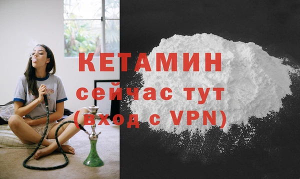 PSILOCYBIN Горно-Алтайск