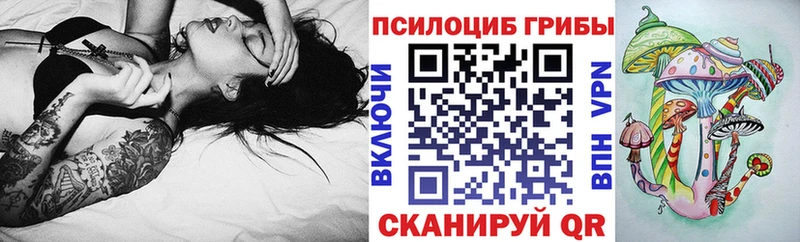 Псилоцибиновые грибы Psilocybe  цена наркотик  гидра ССЫЛКА  Чекалин 